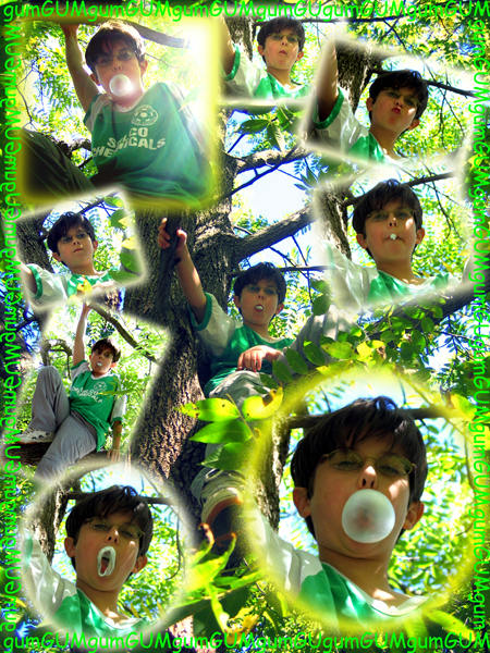 Bubble Blowing in a Tree