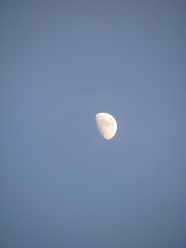 the original moon shot