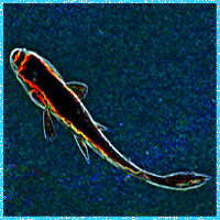 A filtered and colorized gold fish swims in the digital deep.