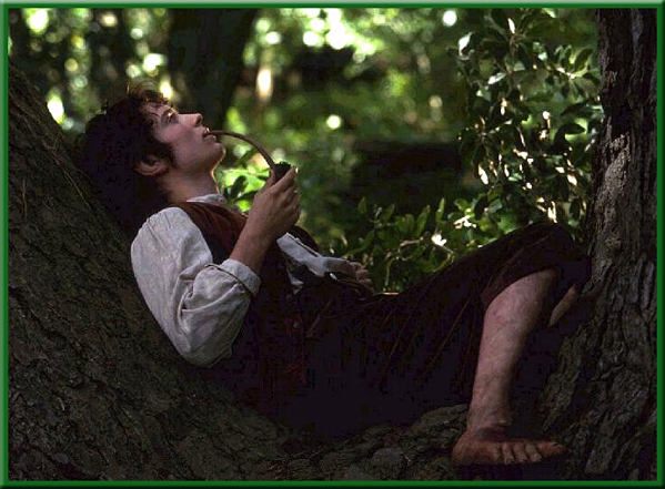 Frodo relaxes in a tree.